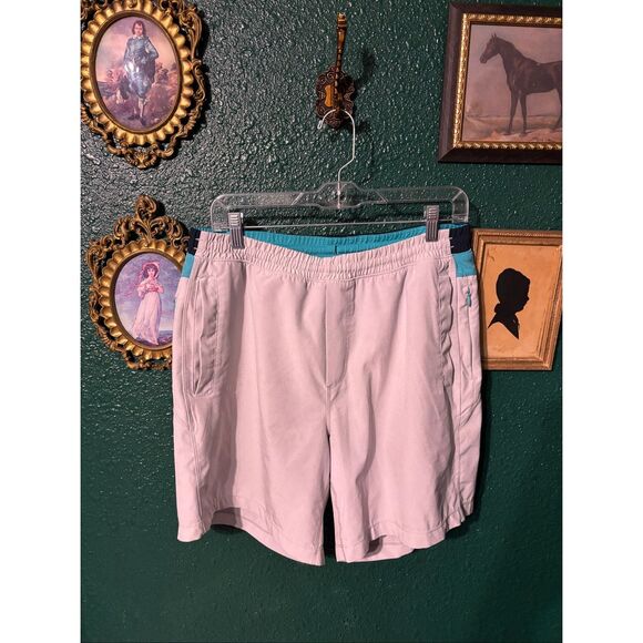 Mens GRAY AND BLUE BirdDogs Shorts Sz XL Lined - Picture 1 of 5